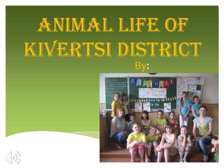 animal life of Kivertsi District By: 