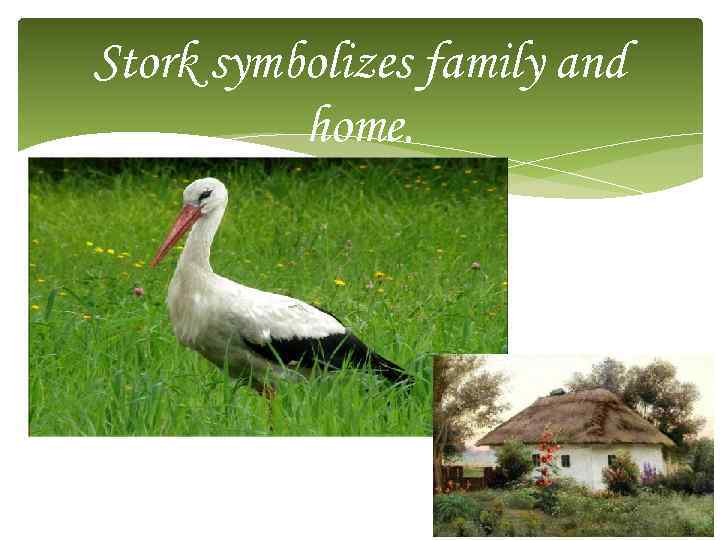 Stork symbolizes family and home. 