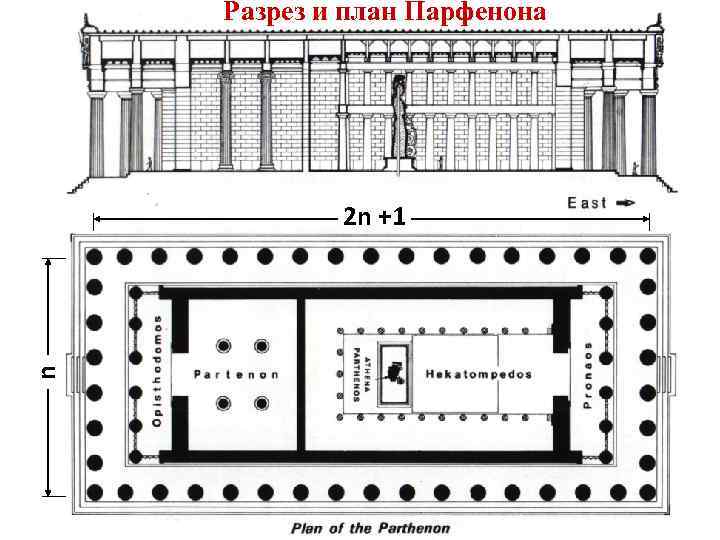 Парфенон схема здания