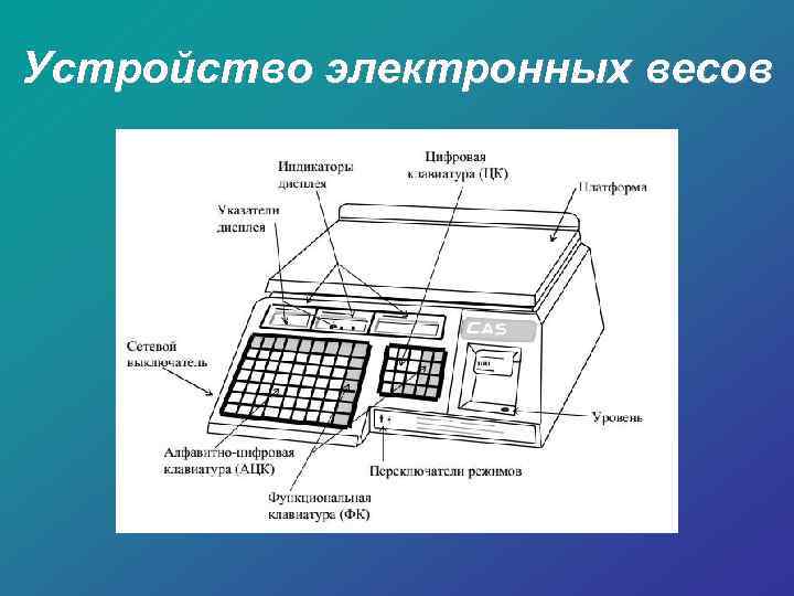 Устройство электронных весов 