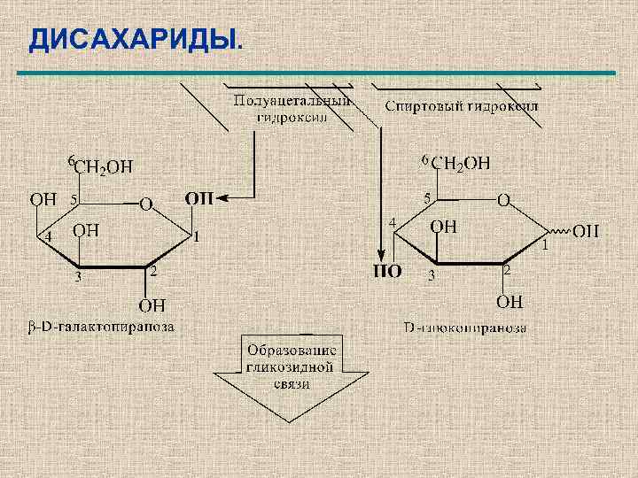 ДИСАХАРИДЫ. 