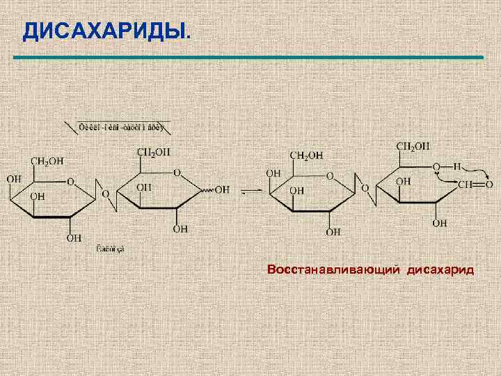 ДИСАХАРИДЫ. Восстанавливающий дисахарид 