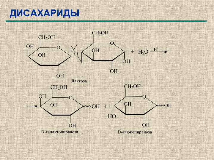 ДИСАХАРИДЫ 