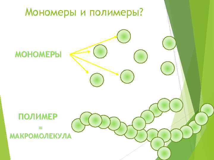 Мономерами молекул. Полимеры и мономеры. Полимеры и мономеры это в биологии. Строение полимеров и мономеров. Мономеры димеры полимеры.