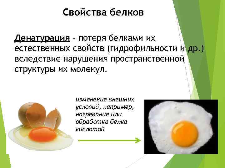 Потеря белков. Гидрофильные свойства белков. Потеря белков природных свойств это. Изменение структуры и потеря белком его природных свойств. Гидрофильные свойства белка.