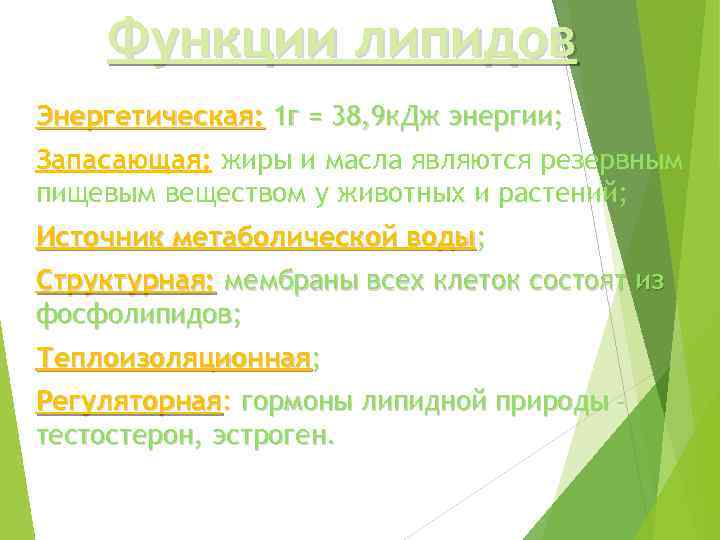 Функции липидов Энергетическая: 1 г = 38, 9 к. Дж энергии; Запасающая: жиры и