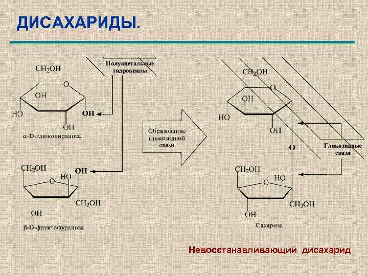 ДИСАХАРИДЫ. Невосстанавливающий дисахарид 