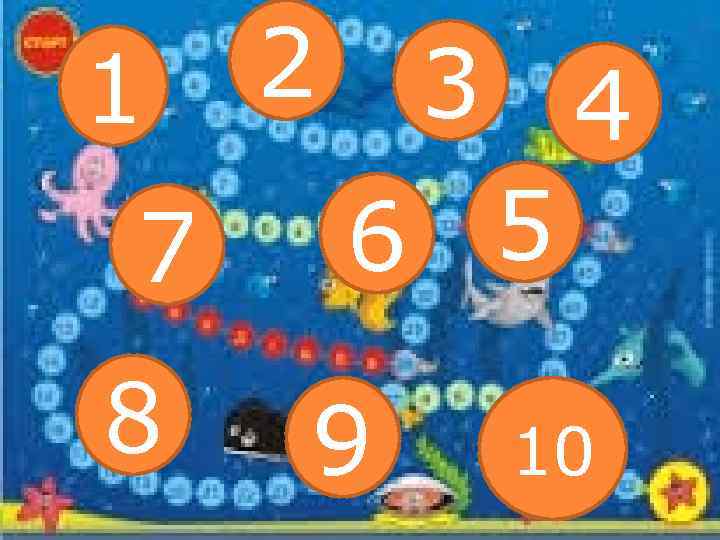 1 7 8 2 3 4 6 5 9 10 