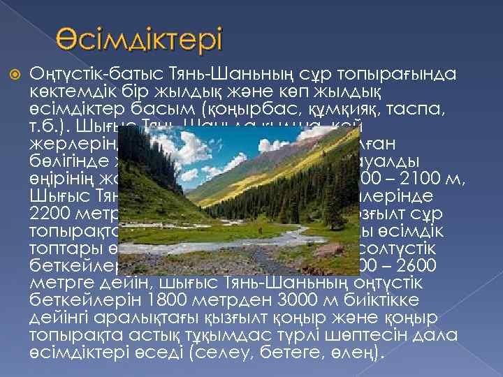 Өсімдіктері Оңтүстік-батыс Тянь-Шаньның сұр топырағында көктемдік бір жылдық және көп жылдық өсімдіктер басым (қоңырбас,