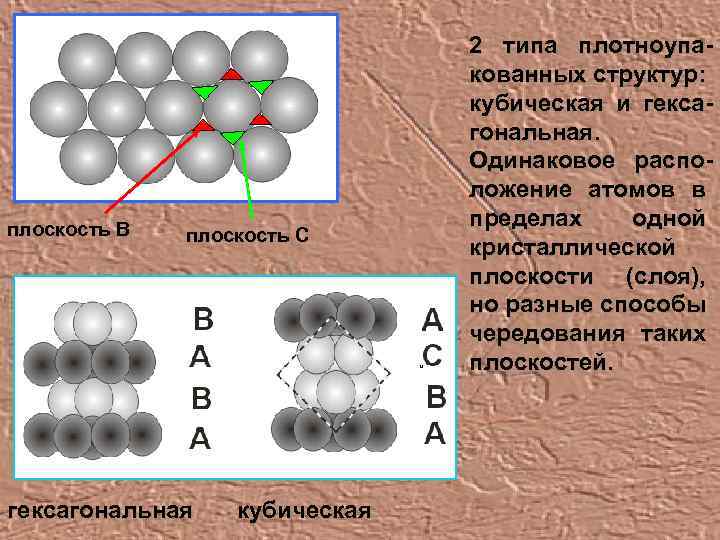 плоскость В плоскость С гексагональная кубическая 2 типа плотноупакованных структур: кубическая и гексагональная. Одинаковое