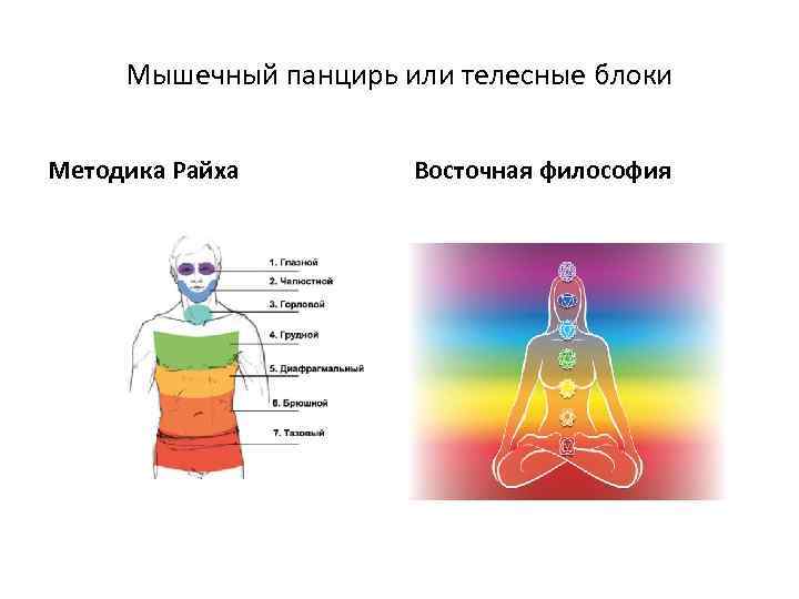 Мышечный панцирь или телесные блоки Методика Райха Восточная философия 