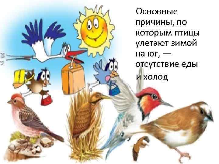  Основные причины, по которым птицы улетают зимой на юг, — отсутствие еды и