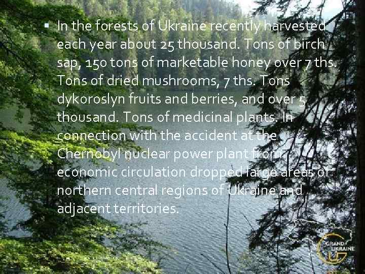  In the forests of Ukraine recently harvested each year about 25 thousand. Tons