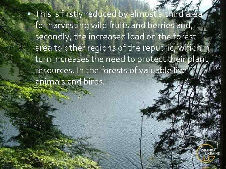  This is firstly reduced by almost a third area for harvesting wild fruits