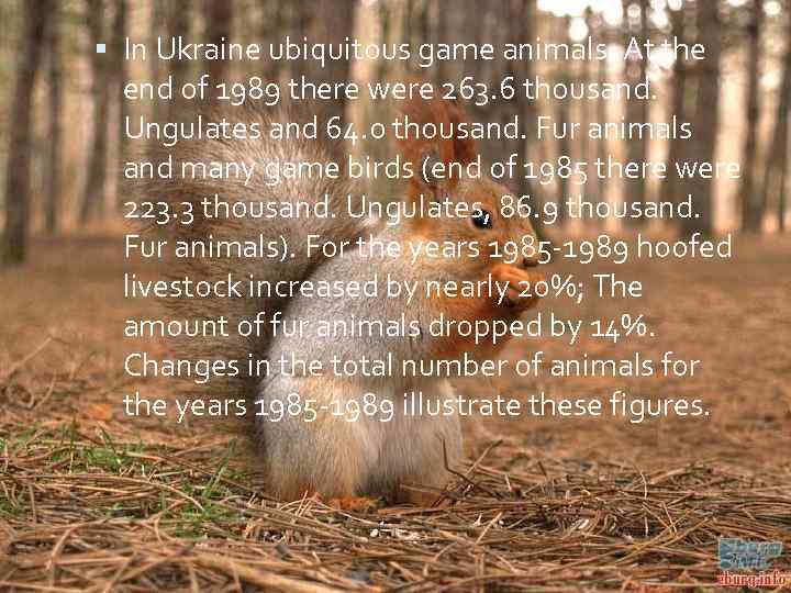  In Ukraine ubiquitous game animals. At the end of 1989 there were 263.