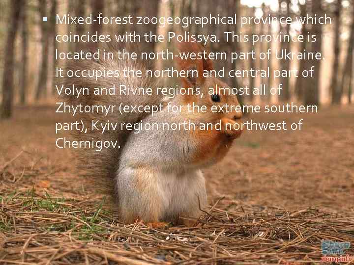  Mixed-forest zoogeographical province which coincides with the Polissya. This province is located in
