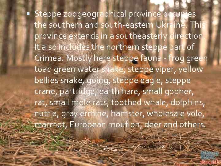  Steppe zoogeographical province occupies the southern and south-eastern Ukraine. This province extends in