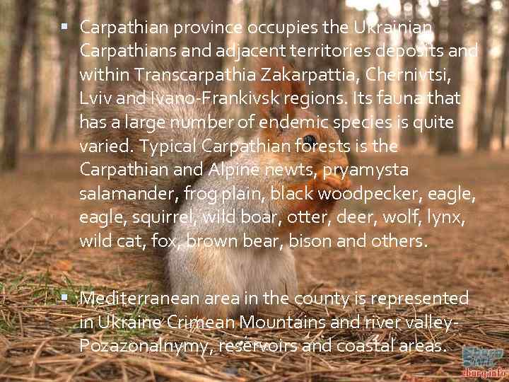  Carpathian province occupies the Ukrainian Carpathians and adjacent territories deposits and within Transcarpathia