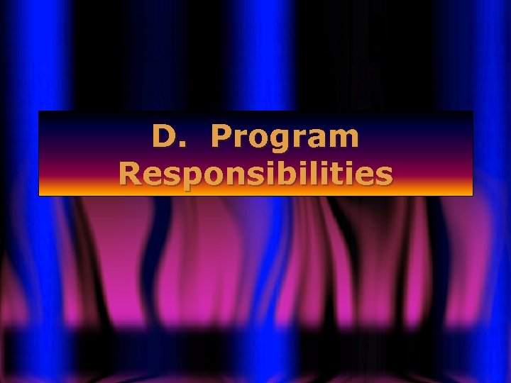 D. Program Responsibilities 