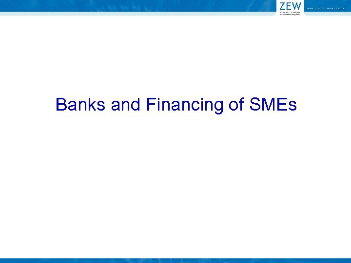 Banks and Financing of SMEs 