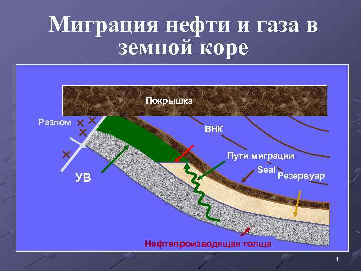 Миграция нефти и газа в земной коре Покрышка Разлом ВНК Пути миграции УВ Seal