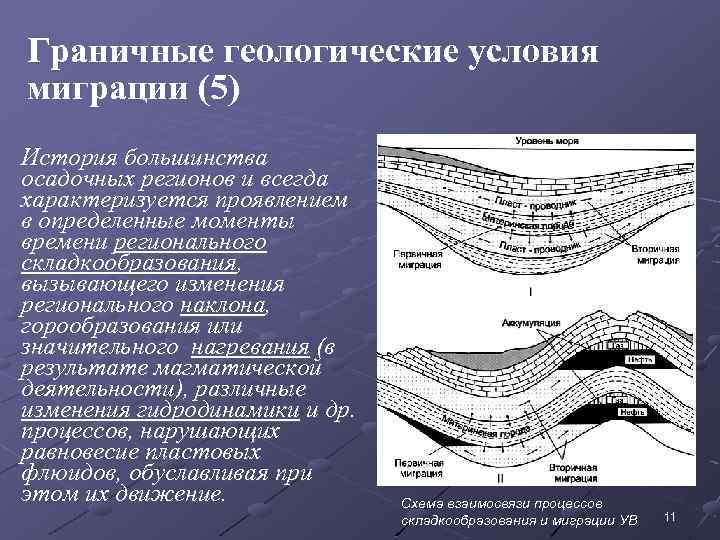 Граничные геологические условия миграции (5) История большинства осадочных регионов и всегда характеризуется проявлением в
