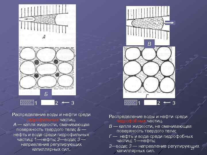 В Б 1 2 3 Распределение воды и нефти среди гидрофильных частиц. А —