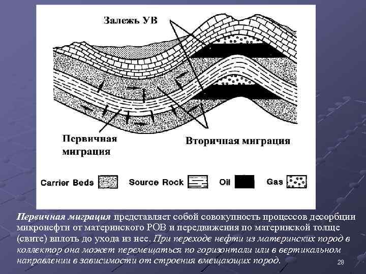 Первичная миграция представляет собой совокупность процессов десорбции микронефти от материнского РОВ и передвижения по