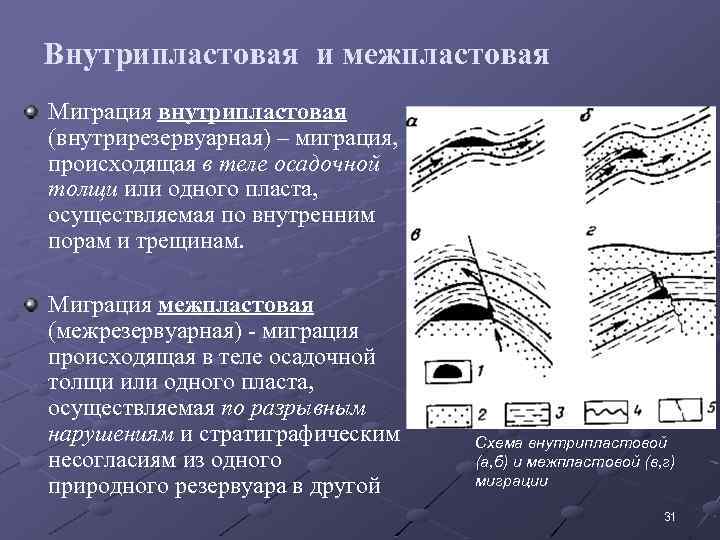 Внутрипластовая и межпластовая Миграция внутрипластовая (внутрирезервуарная) – миграция, происходящая в теле осадочной толщи или