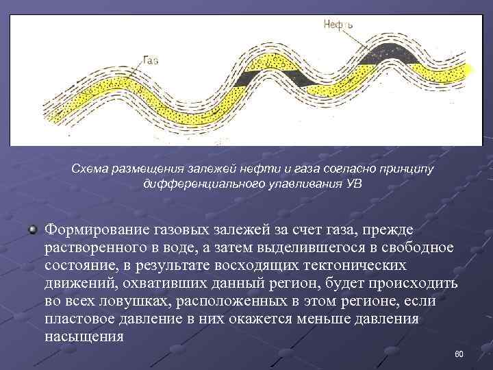 Схема размещения залежей нефти и газа согласно принципу дифференциального улавливания УВ Формирование газовых залежей