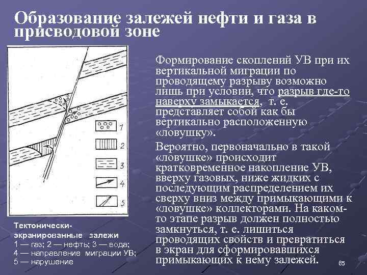 Образование залежей нефти и газа в присводовой зоне Тектоническиэкранированные залежи 1 — газ; 2