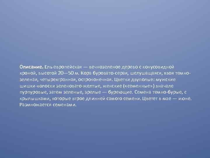 Описание. Ель европейская — вечнозеленое дерево с конусовидной кроной, высотой 20— 50 м. Кора