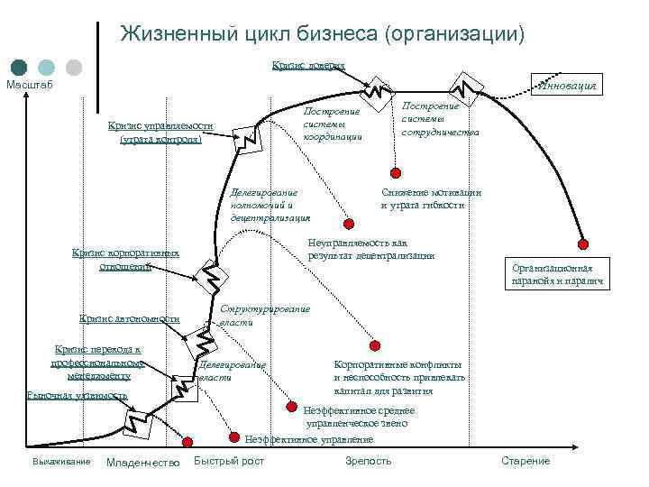 Жизненный цикл бизнеса (организации) Кризис доверия Инновация Масштаб Кризис управляемости (утрата контроля) Делегирование полномочий