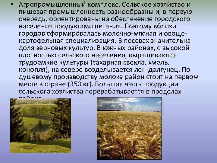  • Агропромышленный комплекс. Сельское хозяйство и пищевая промышленность разнообразны и, в первую очередь,