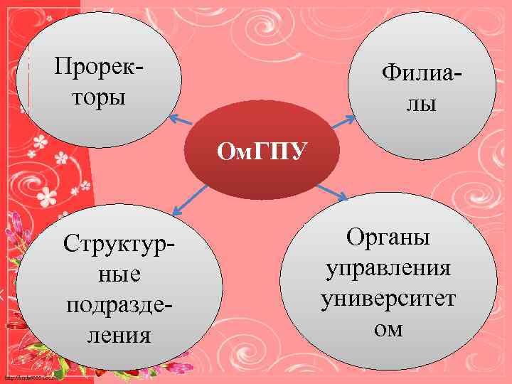 Проректоры Филиалы Ом. ГПУ Структурные подразделения http: //linda 6035. ucoz. ru/ Органы управления университет