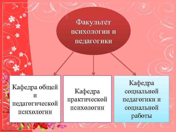 Факультет психологии и педагогики Кафедра общей и педагогической психологии http: //linda 6035. ucoz. ru/