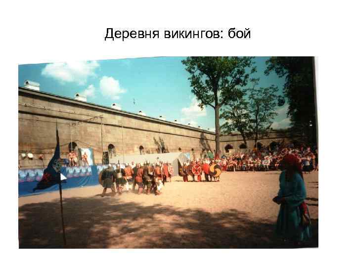Деревня викингов: бой 