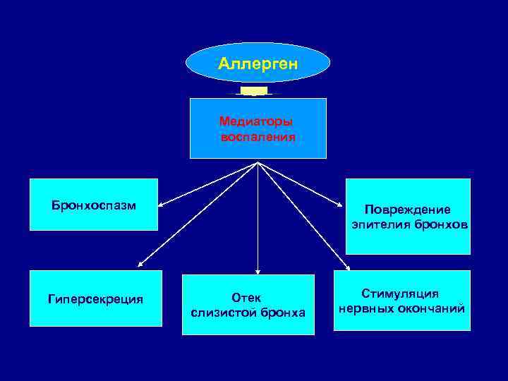 Аллерген Медиаторы воспаления Бронхоспазм Гиперсекреция Повреждение эпителия бронхов Отек слизистой бронха Стимуляция нервных окончаний