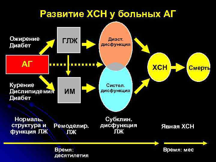 Развитие ХСН у больных АГ Ожирение Диабет ГЛЖ Диаст. дисфункция АГ ХСН Курение Дислипидемия