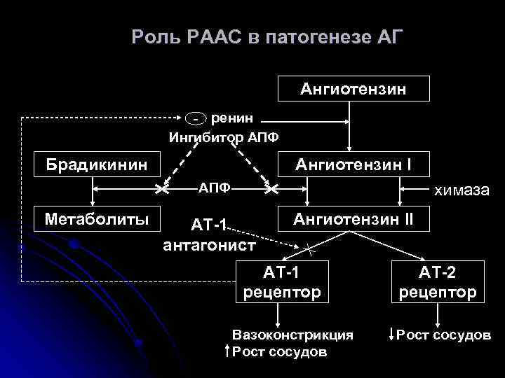 Роль РААС в патогенезе АГ Ангиотензин - ренин Ингибитор АПФ Брадикинин Ангиотензин I АПФ