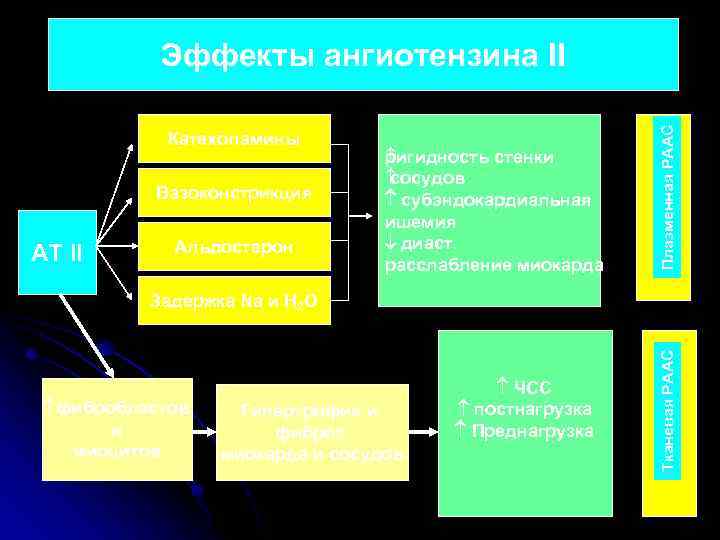 Катехоламины Вазоконстрикция AT II Альдостерон р игидность стенки сосудов субэндокардиальная ишемия диаст. расслабление миокарда