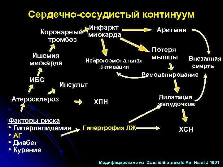 Сердечно-сосудистый континуум Инфаркт Коронарный миокарда тромбоз Ишемия миокарда ИБС Аритмии Потеря мышцы Внезапная смерть