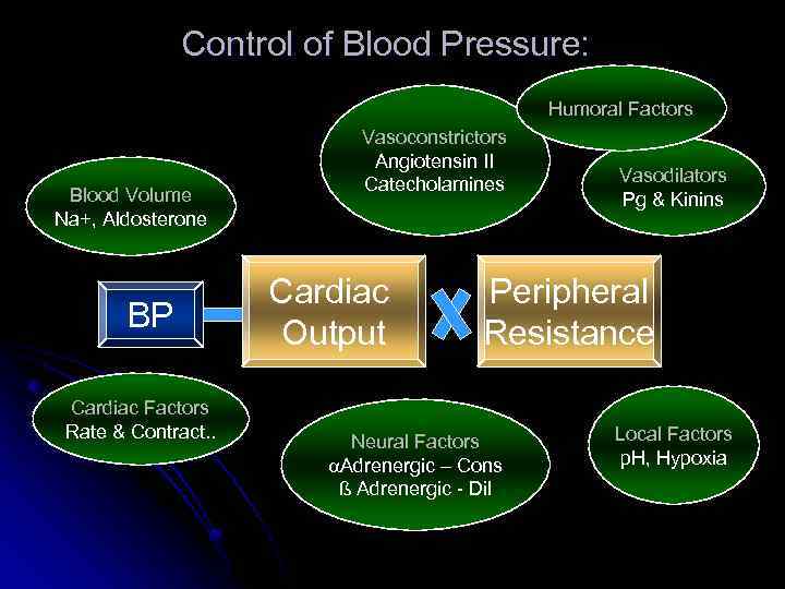 Control of Blood Pressure: Humoral Factors Blood Volume Na+, Aldosterone BP Cardiac Factors Rate