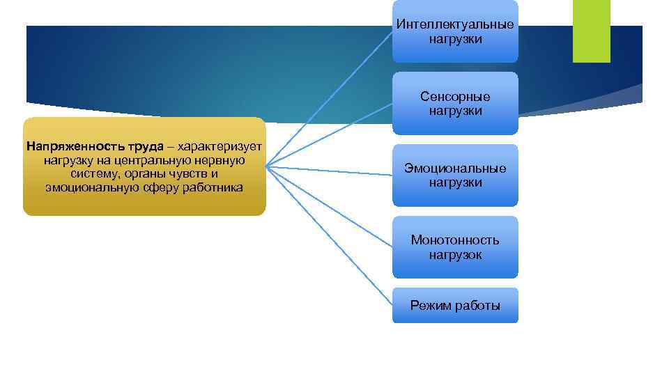 Интеллектуальные нагрузки Сенсорные нагрузки Напряженность труда – характеризует нагрузку на центральную нервную систему, органы