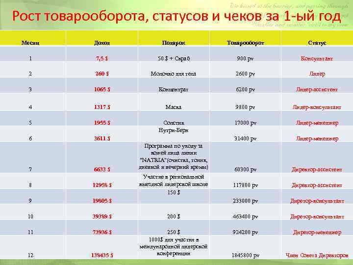 Рост товарооборота, статусов и чеков за 1 -ый год Месяц Доход Подарок Товарооборот Статус