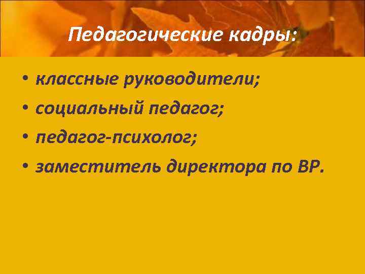 Педагогические кадры: • • классные руководители; социальный педагог; педагог-психолог; заместитель директора по ВР. 