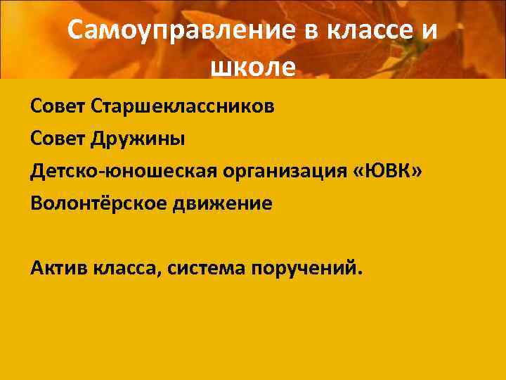 Самоуправление в классе и школе Совет Старшеклассников Совет Дружины Детско-юношеская организация «ЮВК» Волонтёрское движение