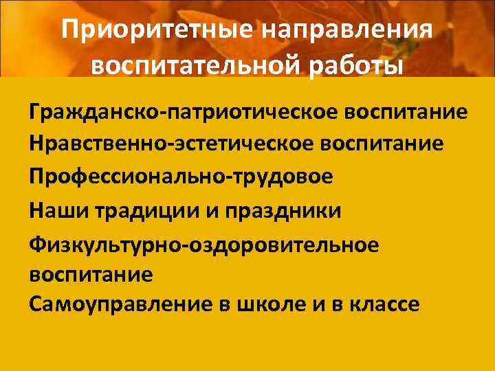 Приоритетные направления воспитательной работы Гражданско-патриотическое воспитание Нравственно-эстетическое воспитание Профессионально-трудовое Наши традиции и праздники Физкультурно-оздоровительное