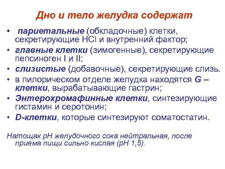 Дно и тело желудка содержат • париетальные (обкладочные) клетки, секретирующие НСl и внутренний фактор;