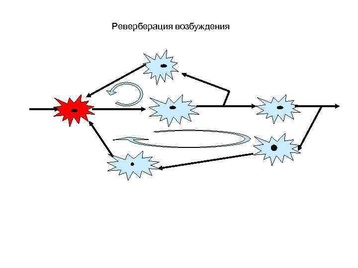 Реверберация это. Реверберация схема физиология. Реверберация возбуждения в нервной сети по Лоренто-де-но;. Реверберация физиология ЦНС. Реверберация возбуждения это в физиологии.